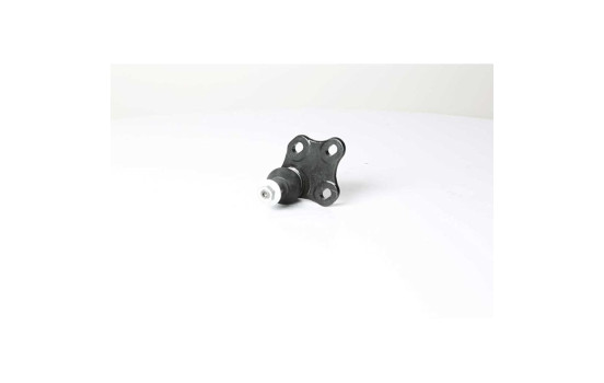 Rótula, Imagen 2