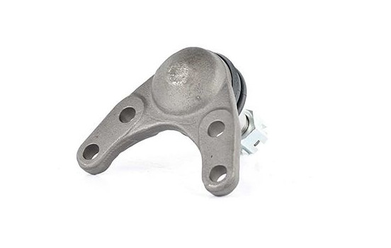 Rótula, Imagen 2
