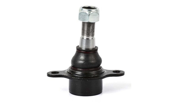 Rótula, Imagen 2