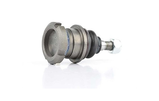 Rótula, Imagen 2