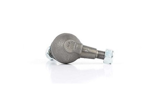 Rótula, Imagen 2