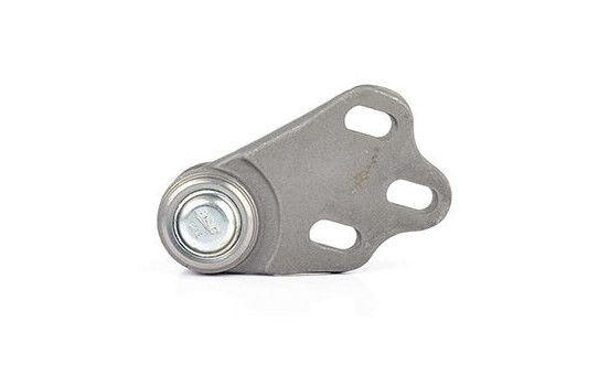 Rótula, Imagen 2