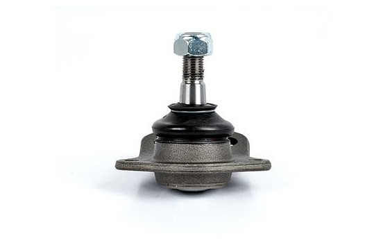 Rótula, Imagen 2