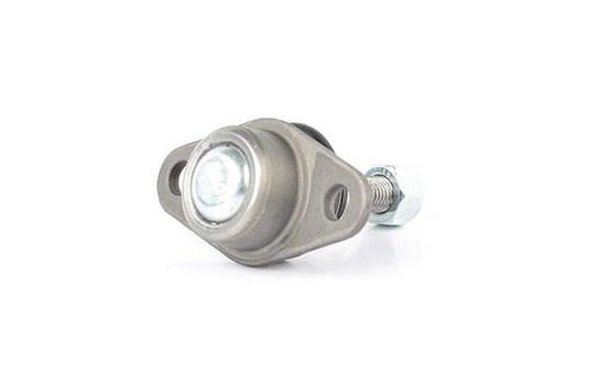Rótula, Imagen 2