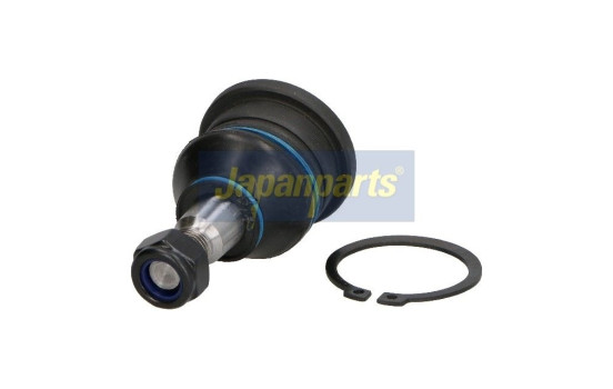 Rótula