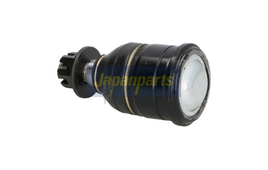 Rótula, Imagen 2