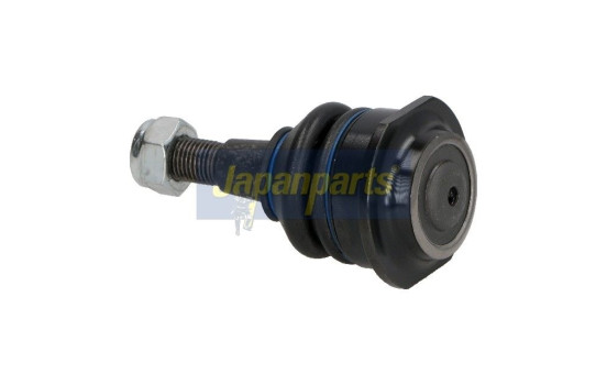Rótula, Imagen 2