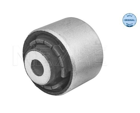 Casquillo de cojinete, brazo de control