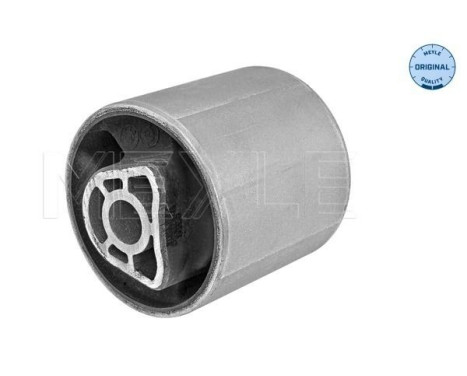 Casquillo de cojinete, brazo de control