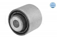 Casquillo de cojinete, brazo de control