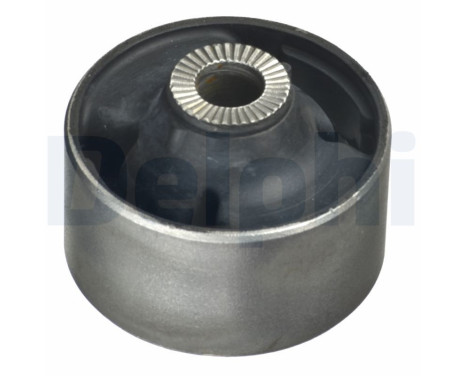 Goma de horquilla DRIEH WIELDRGARM TD1379W Delphi