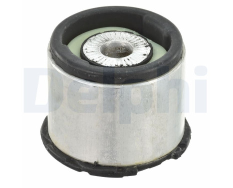GOMA DE HORQUILLA TD1095W Delphi