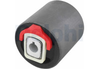GOMA DE HORQUILLA TD439W Delphi