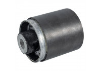 Goma del brazo de control 171115 FEBI
