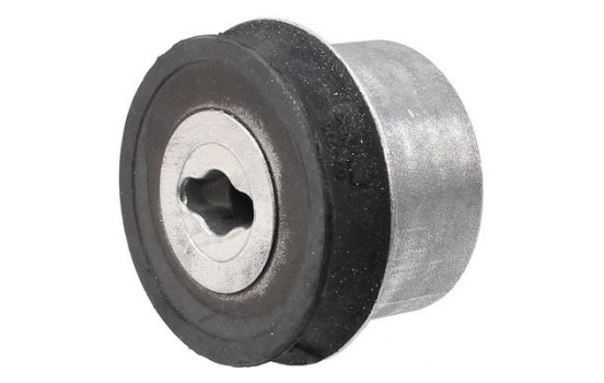 Goma del brazo de control 271107 ABS