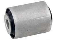 Goma del brazo de control 271625 ABS