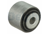 Goma del brazo de control TD1365W Delphi