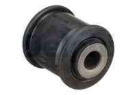Goma del brazo de control TD1706W Delphi