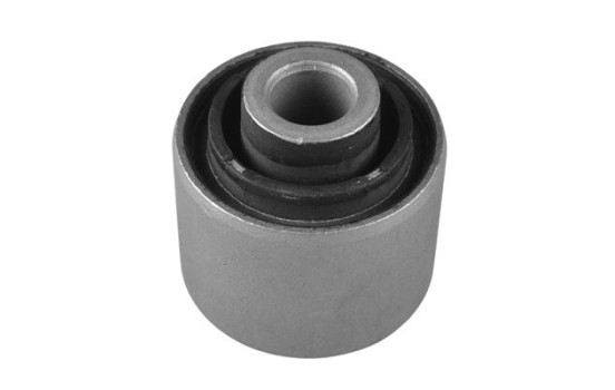 Goma del brazo de control