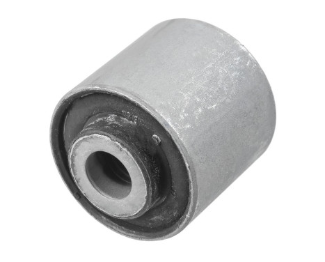Goma del brazo de control