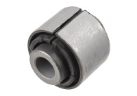 Goma del brazo de control