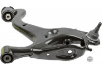 Brazo de control, suspensión 40074 01 Lemforder