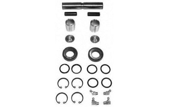 Kit de reparación, pivote central 290134 ABS