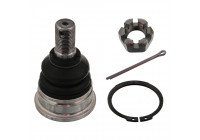 Rótula 42645 FEBI