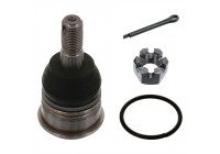 Rótula 42650 Febi ProKit
