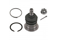 Rótula 43066 Febi ProKit