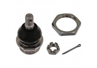 Rótula 43332 Febi ProKit
