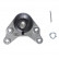Rótula ADT38645 Blue Print