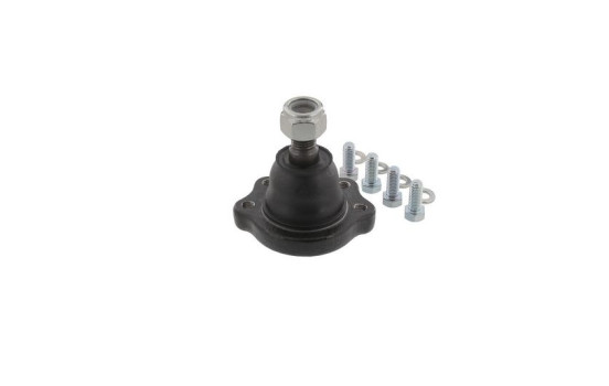 Rótula NI-BJ-10389 Moog, Imagen 8