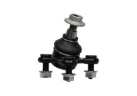 Rótula SBJ-10009 Kavo parts