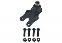 Rótula SBJ-1502 Kavo parts