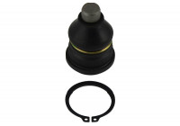 Rótula SBJ-6505 Kavo parts
