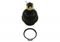 Rótula SBJ-6555 Kavo parts