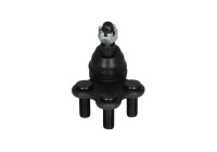 Rótula SBJ-8005 Kavo parts