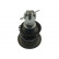 Rótula SBJ-9066 Kavo parts