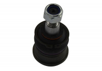 Rótula SBJ-9094 Kavo parts