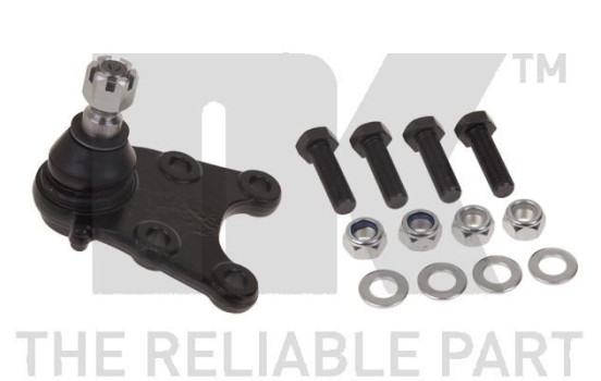 Rótula