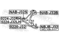 Rótula