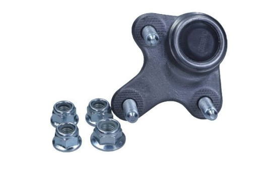 Rótula, Imagen 2