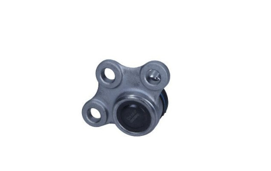 Rótula, Imagen 2