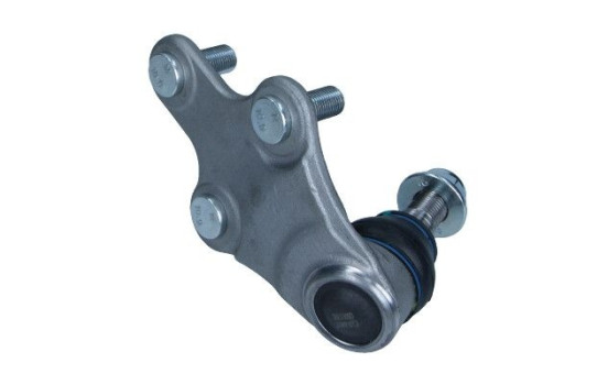 Rótula, Imagen 2