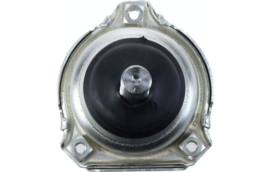 Rótula, Imagen 6
