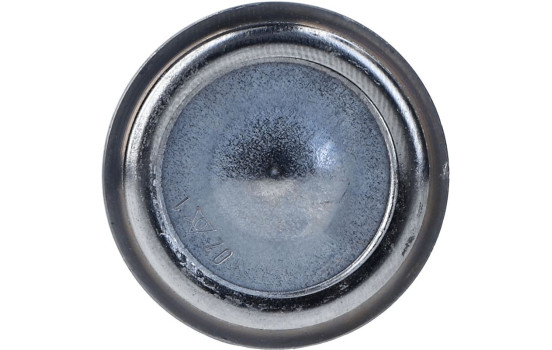 Rótula, Imagen 2
