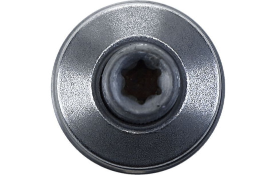 Rótula, Imagen 3