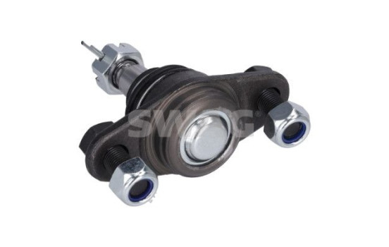 Rótula, Imagen 2