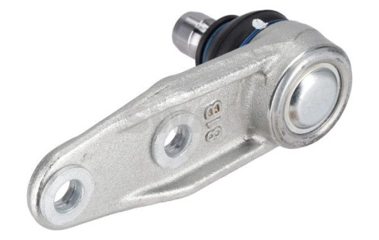 Rótula, Imagen 2